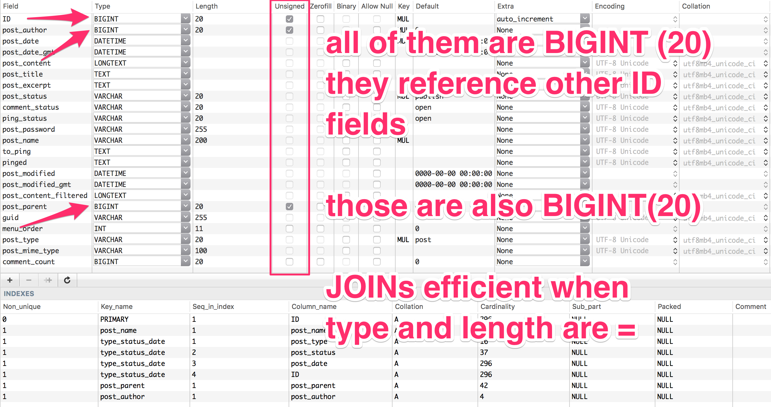 posts table structure in sequel pro, BIGINT 20 unsigned fields highlighted